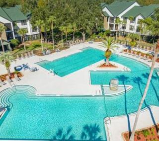 2 MI to USF + Long Term Stays allowed + Gym + Pool - Tampa - 1