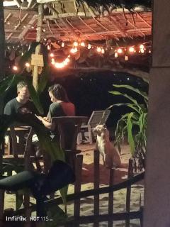 Akoya Beach Park and Cottages - Locaroc - 7