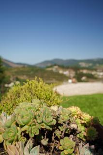 Casa de Belmonte - Castelo de Paiva - 5