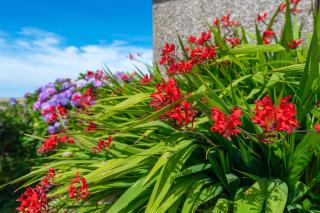 Coastal Bungalow Near Marloes with Log Burner and Garden - Dale - 8