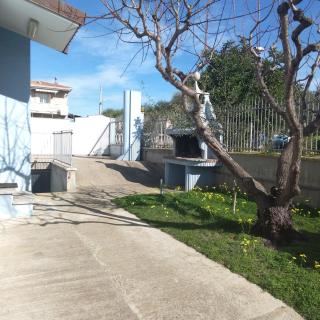 Portoghesi Apt - Àrbatax - 4