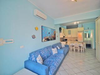 La Conchiglia - 011016-LT-1025 - 1