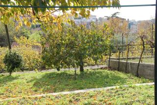 Il Gelsomino - Triest - 9