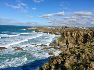 Alishan Cornwall Holidays - Newquay - 2