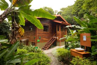 Cala Lodge - Monteverde - 8