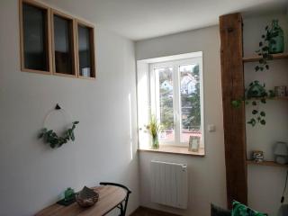 Superbe T2 neuf dans maison de maitre hyper centre - Épinal - 5