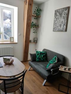 Superbe T2 neuf dans maison de maitre hyper centre - Épinal - 3