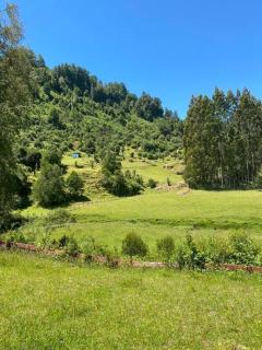 Casa 3D-2B - Lago Ranco - 4