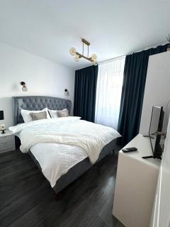 Evelyn Apartment - Bistriţa - 0