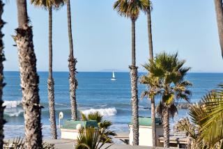 D205 - Serenity Hideaway - Oceanside - 6