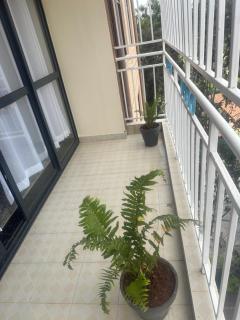 Mango Court suits - Nairobi - 2