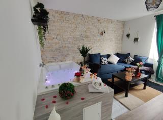 Romantic Cocon Home in Mulhouse - Mulhouse - 1