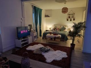 Romantic Cocon Home in Mulhouse - Mulhouse - 4
