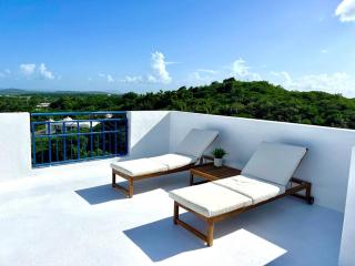 Private Penthouse Paradise - Ceiba - 7
