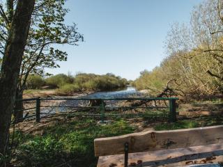 3 Bed in Kiplin 79275 - Great Langton - 9