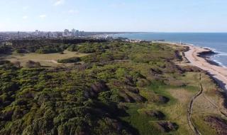 Depto Miramar - Miramar - 2