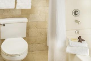 Ayres Hotel Anaheim - Anaheim - 2