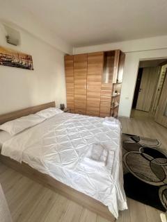 Downtown Studio Calea Victoriei Ultracentral - Bucharest - 8