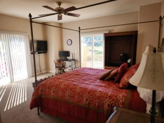 Master Vineyard View Suite in Wine Country - Plymouth - 9