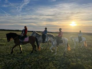Centro ecuestre Girasol - 3