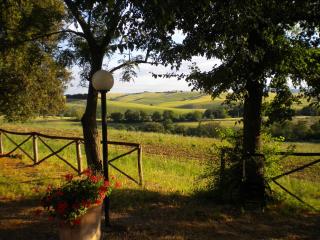Tenuta La Casetta - 2
