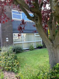 Lowri Cottage B&B - Birmingham - 8
