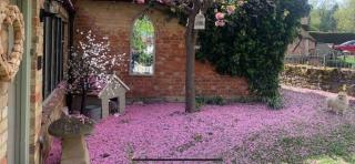 Piglet Cottage - Pebworth - 3