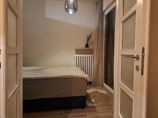 Ema's Cosy apartment - Belgrade - 7