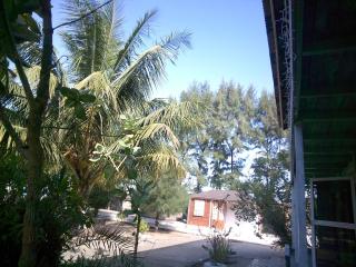 MANGROVE BEACH - Sanyang - 6