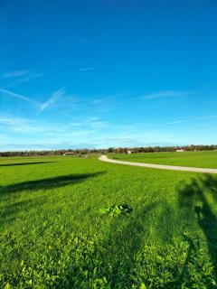 Feriennest Chiemseeglück - 1