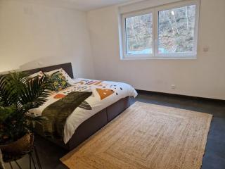 Duplex-Cocon-Proximité - Piscines Thermales -Sauna - Hombourg-Haut - 3