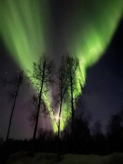 The Contemporary Alaskan Cabin - Sunshine - 4