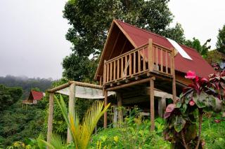 Hostal Sierra Minca - Minca - 2