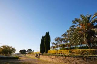 Milla's Vineyard Estate - 6
