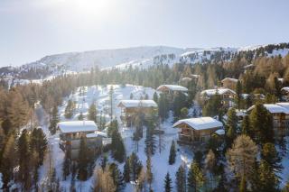 Alpenpark Turrach by ALPS RESORTS - 7