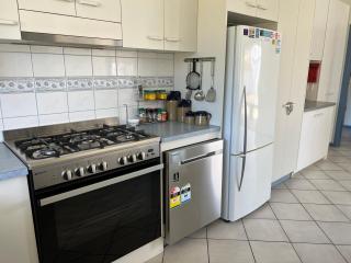 Blue Poles - Pet Friendly - 3