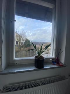 Bluestone Appartments - 26qm free and near parking - Blaustein - 4