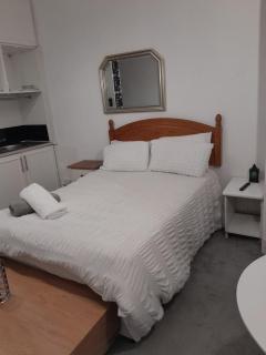 Large room near Singleton Hospital ensuite R6 - Swansea - 2