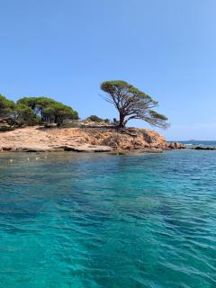 VILLA SANTA GIULIA 240M2 CLASSEE 5 étoiles Vue Mer 180 degrès - 6