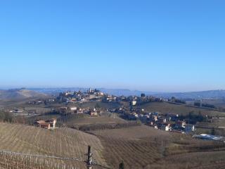 I Quattro Grappoli - 2