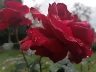 10 min nach Augsburg - Apartment mit Extra-Eingang - 2