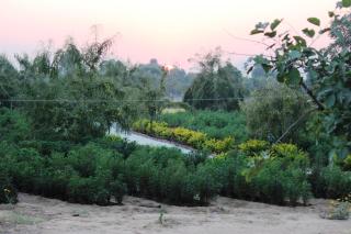 Lohana Village Resort - 9