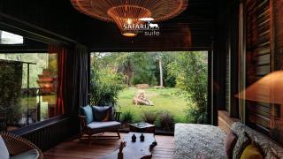 Safari Suite Zoo de la Flèche - La Flèche - 8