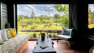 Safari Suite Zoo de la Flèche - La Flèche - 5