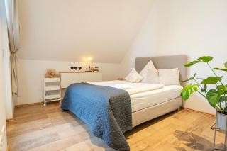 Residenz - Himmelsträumer - Penthouse - Sauna - Parkplatz - 7