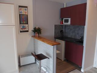 GRAND STUDIO VUE PANORAMIQUE SUR LE PORT, PARKING PRIVE - 7