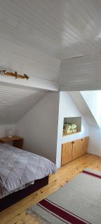Apartment Ivan - Novi Sad - 1