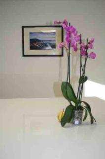 Gîte Le Maine Libre* SPA* Calme et authenticité - 5