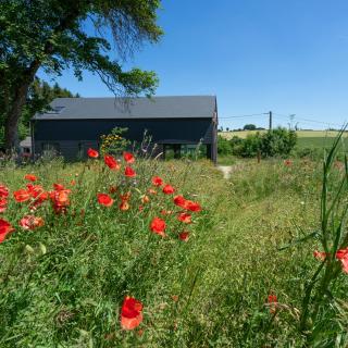 Arduenna Silva ecologic designer house - La-Roche-en-Ardenne - 5