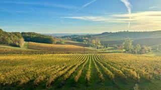 Château Lecusse - La Grande Roche - Hôtel, Spa, Boutique & Restaurant - Broze - 1